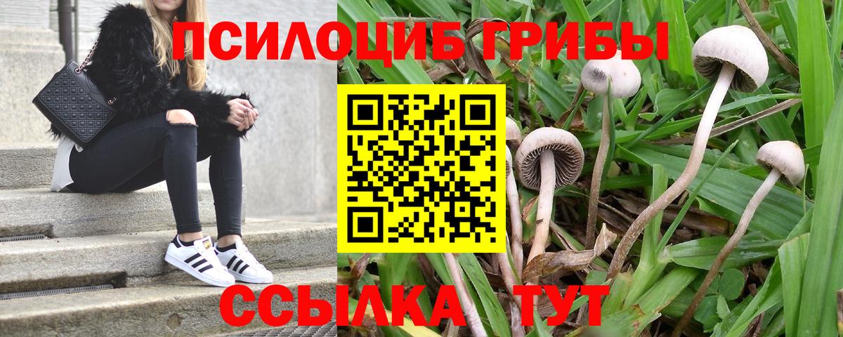 Галлюциногенные грибы GOLDEN TEACHER Гай