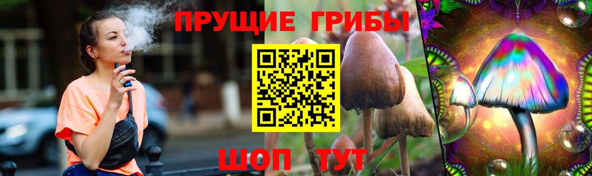 Гай  закладка  Галлюциногенные грибы MAGIC MUSHROOMS  Вход с VPN  Псилоцибиновые грибы Psilocybine cubensis 