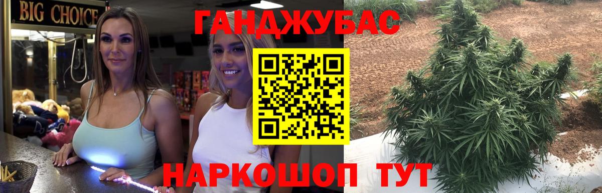 Канабис THC 21%  Бошки Шишки планчик  Гай  Вход с VPN  Шишки марихуана семена 